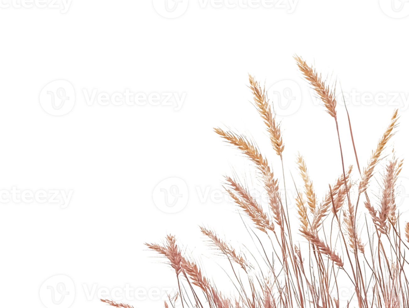 Dried Grass Cluster png