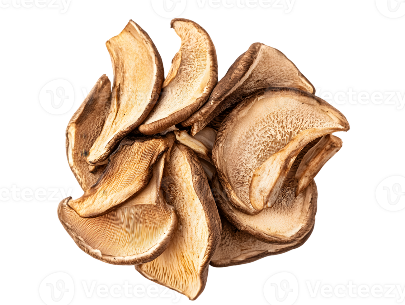 Dried Shiitake Mushrooms Cluster png