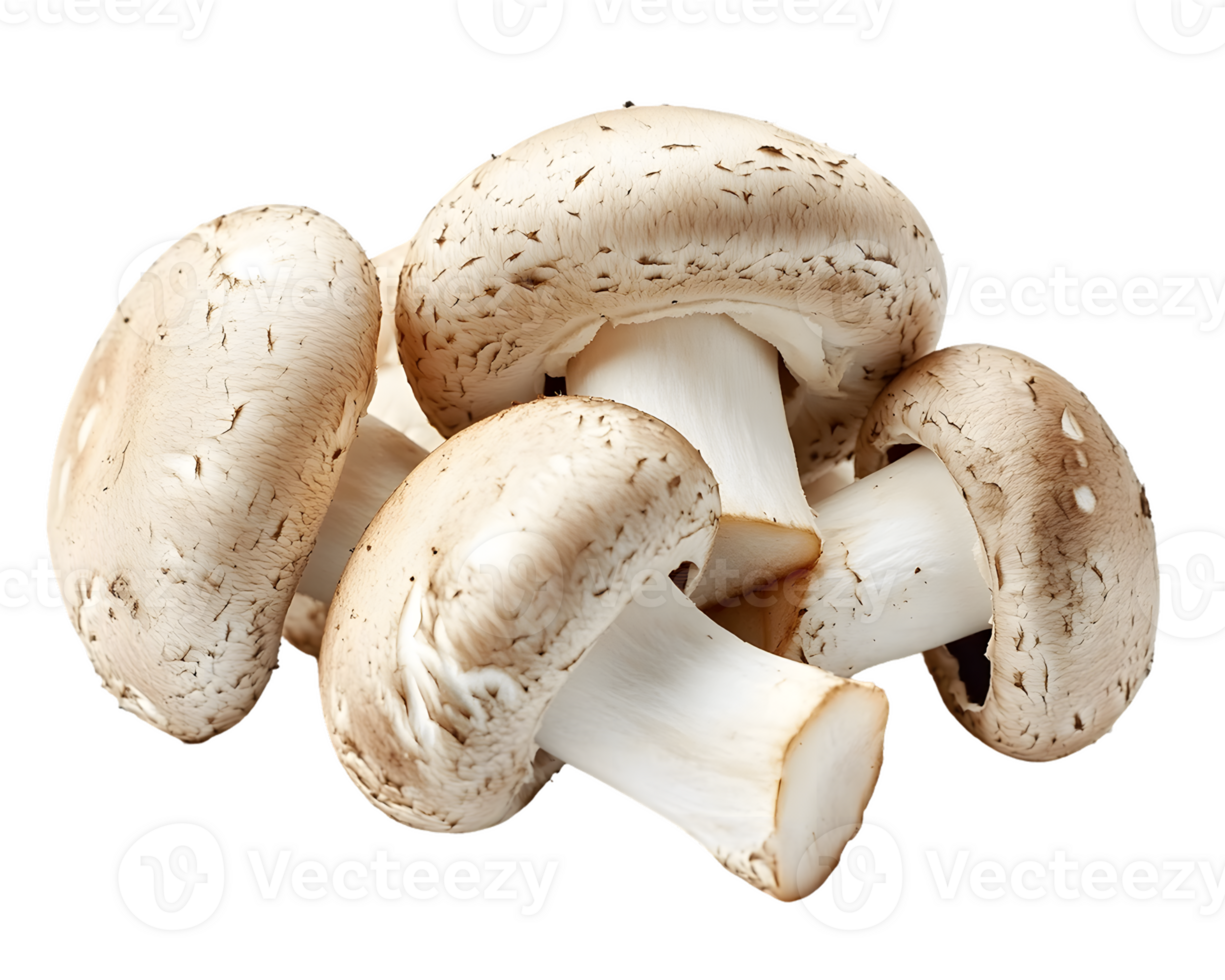 Four Cremini Mushrooms png