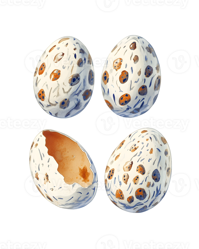 Illustration of Four Speckled Bird Eggs Two Intact, Two Broken png