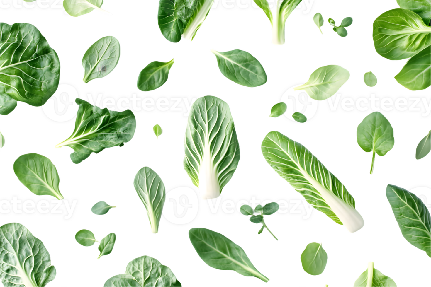 Arrangement of Bok Choy and Assorted Leafy Greens png