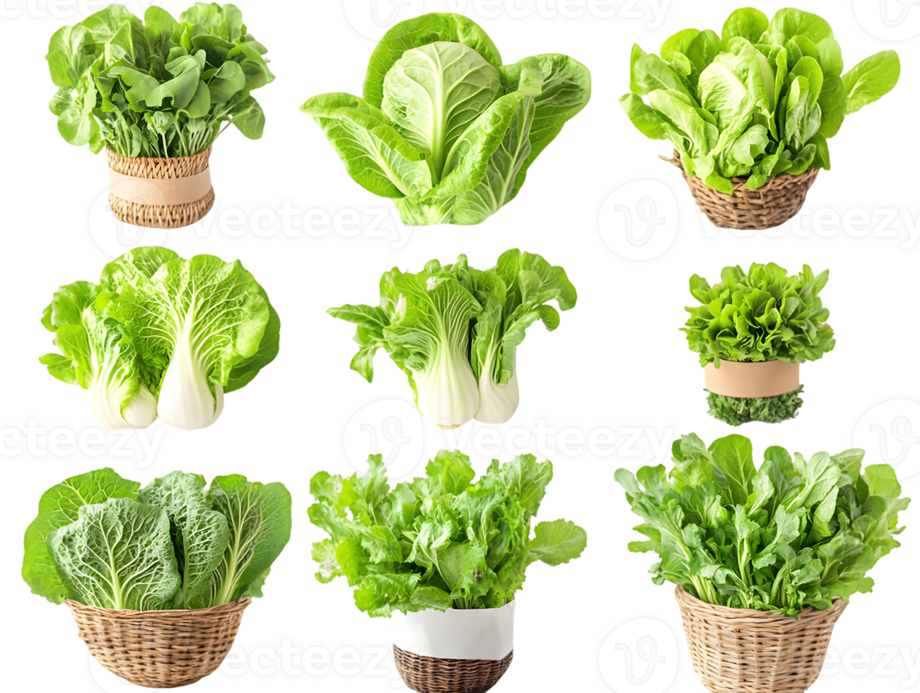 Assortment of Nine Leafy Green Vegetables png