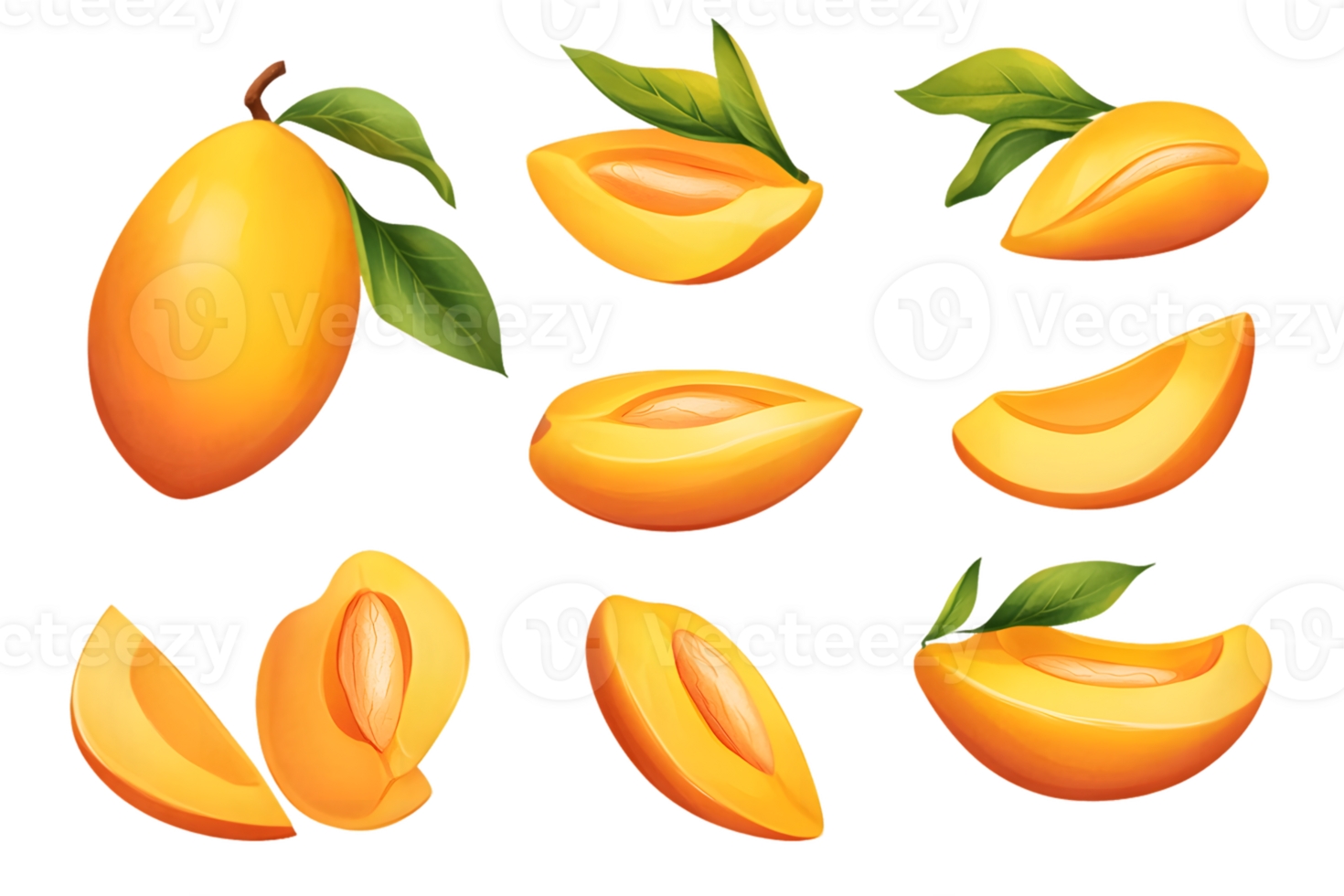Collection of vibrant mango illustrations featuring whole fruits and assorted slices displaying rich orange flesh and green leaves accentuating freshness png