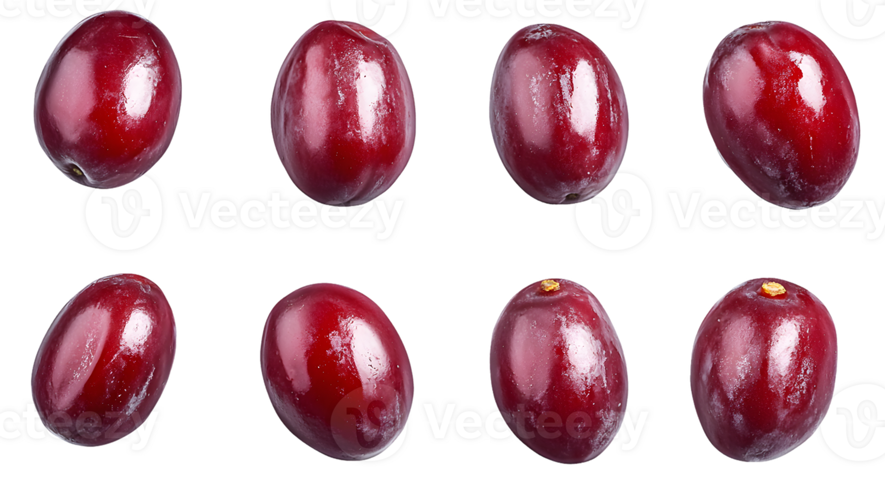 Vibrant arrangement of shiny red coffee cherries showcasing natural beauty and freshness in two neat rows with glossy texture inviting culinary creativity and enjoyment. png