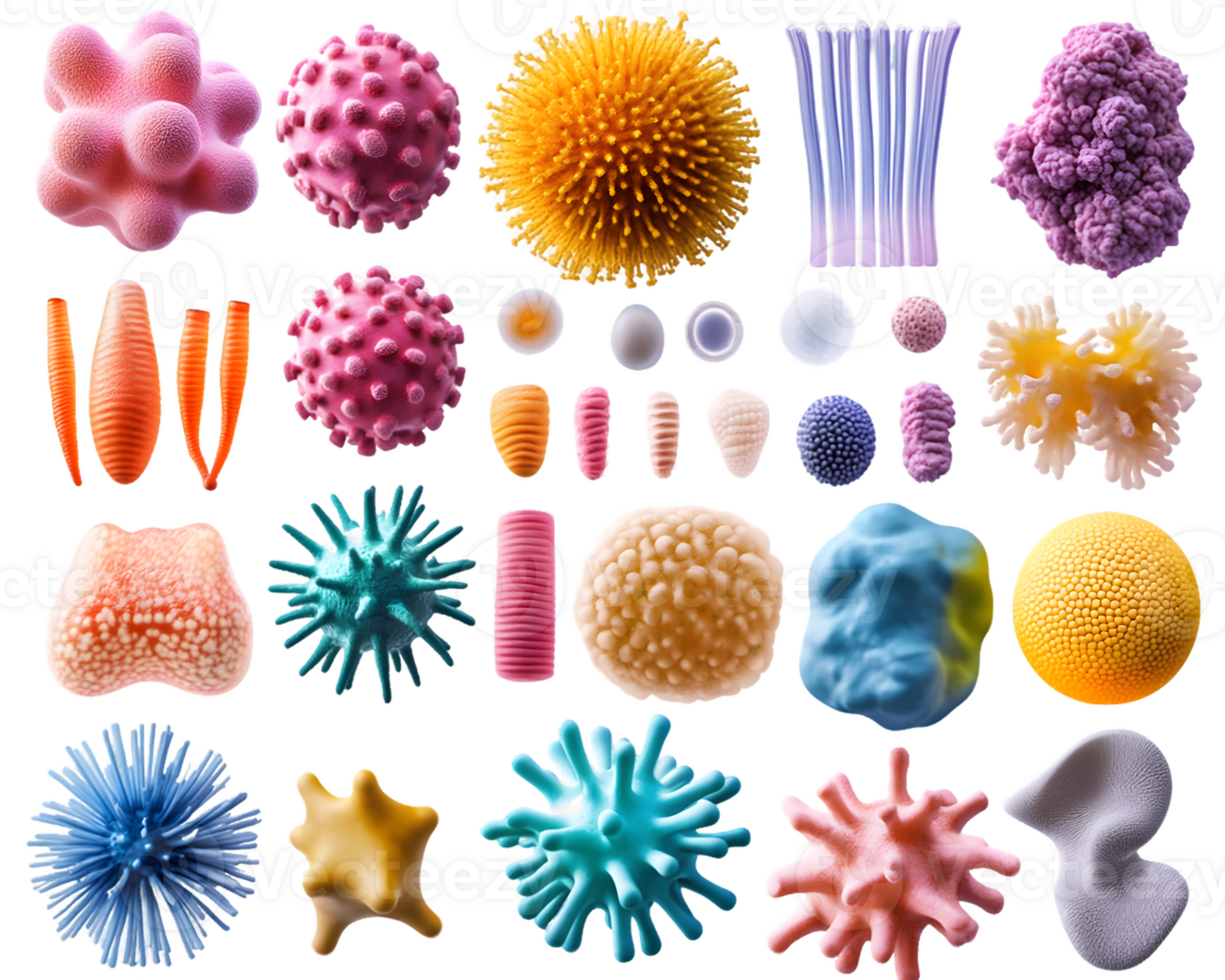 Vibrant collection of colorful microorganisms showcasing intricate textures and shapes in an artistic arrangement png