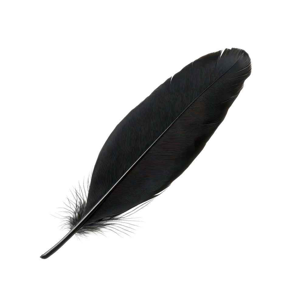 A single black bird feather resting on a pristine transparent background showcasing its intricate details and texture, Black bird feather isolated on transparent background png