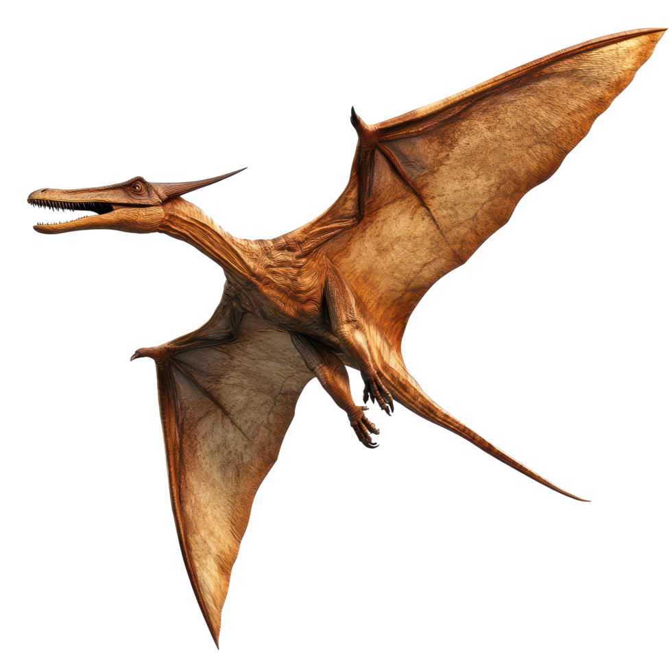 A pterodactyl soaring gracefully through the skies against a bright transparent background, a flying pterodactyl, dinosaur, transparent background. png