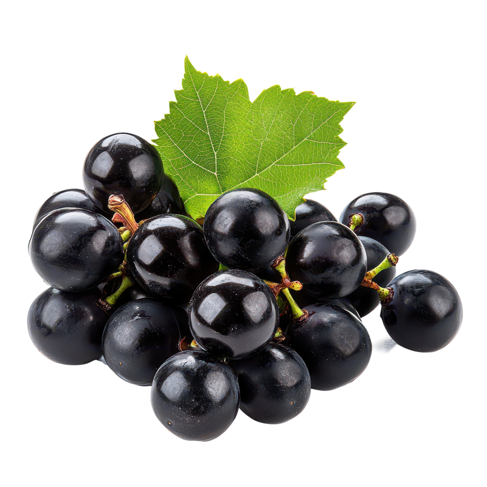 Fresh black grapes clustered together with green leaves on a clean transparent background, Black grapes on transparent background png