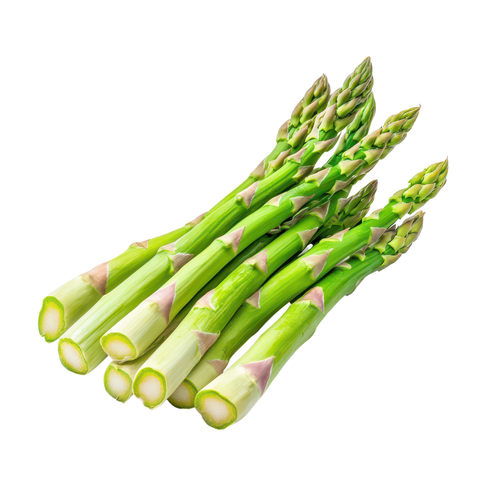 Fresh green asparagus stalks isolated on a transparent background showcasing their vibrant color and unique texture, Asparagus isolated on transparent background png