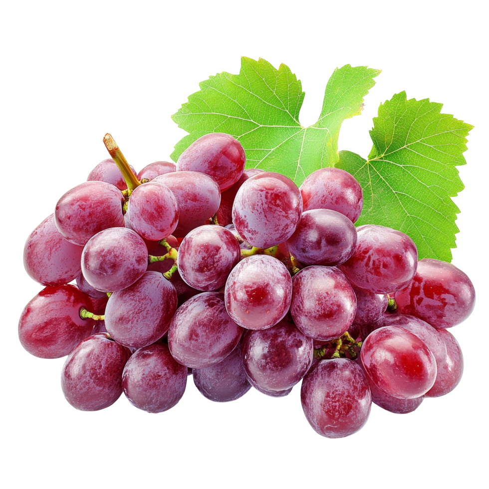 Fresh grape clusters with green leaves on a transparent background ready for enjoyment or culinary use, Fresh Grape Clusters isolated on transparent background png