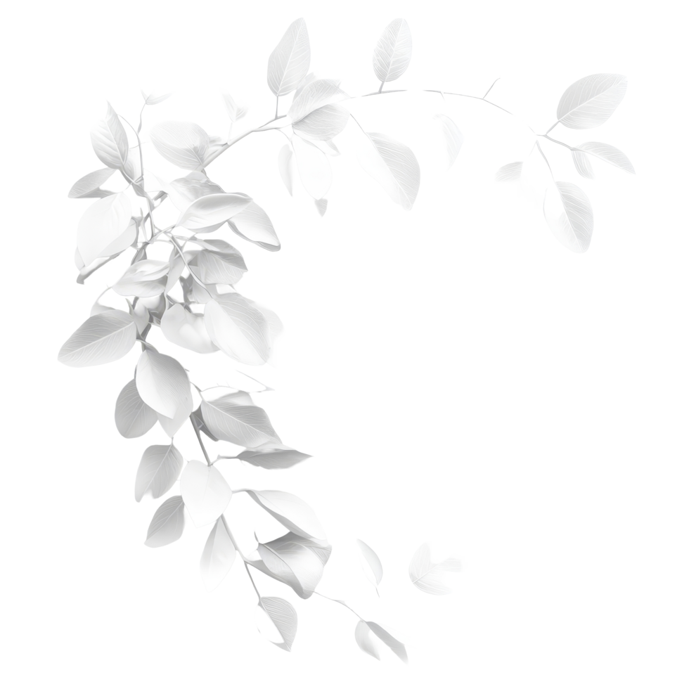 Elegant transparent foliage arrangement on a bright background showcasing delicate leaves and natural beauty, on transparent background transparent background png