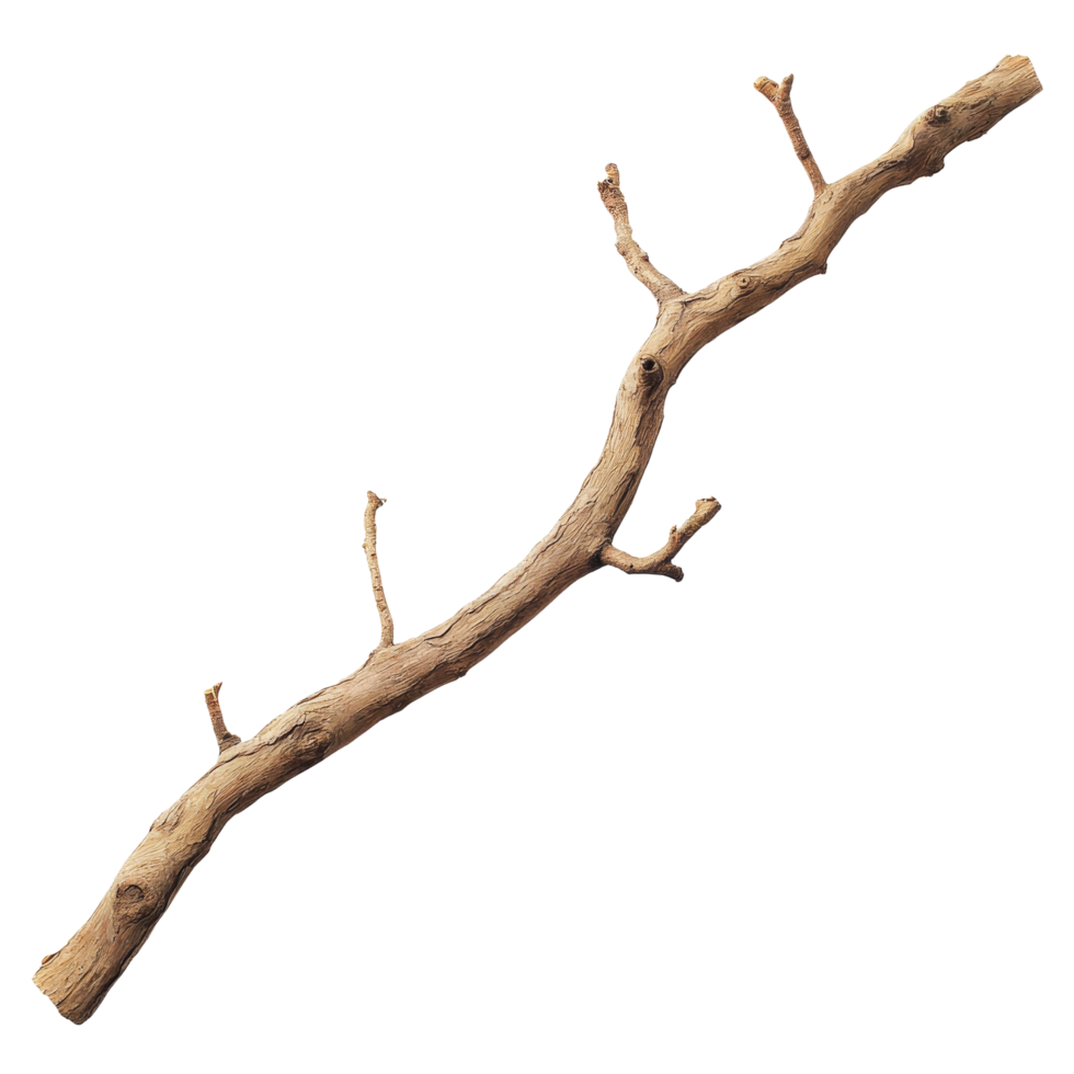 Dry wood branch isolated on a transparent background perfect for natureinspired art and crafts, Dry wood branch isolated on transparent background. Treewood branch transparent background png