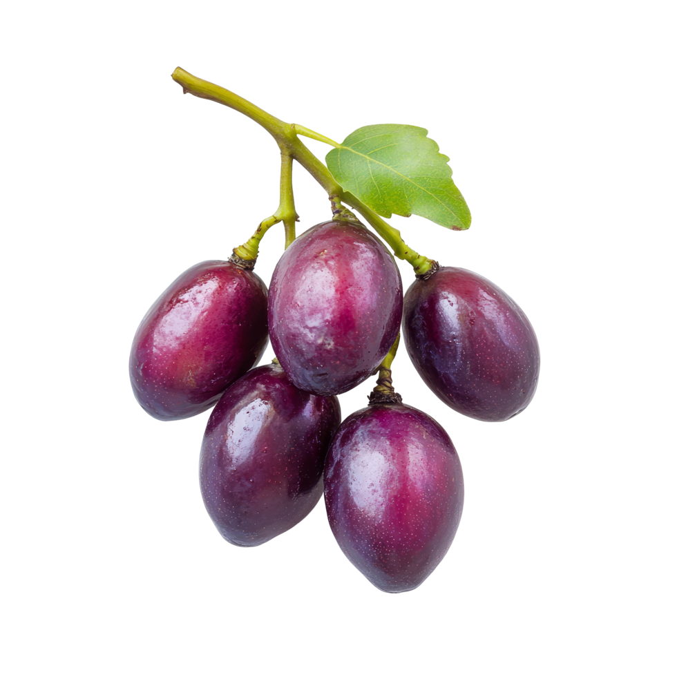 Burmese grape tropical fruit cluster isolated on a transparent background showcasing its vibrant purple hue and texture, burmese grape, tropical fruit isolated on transparent background png