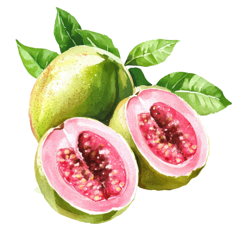 Fresh guava fruit on a transparent background showcasing its vibrant pink interior and green skin, Guava tropical fruit on transparent background png