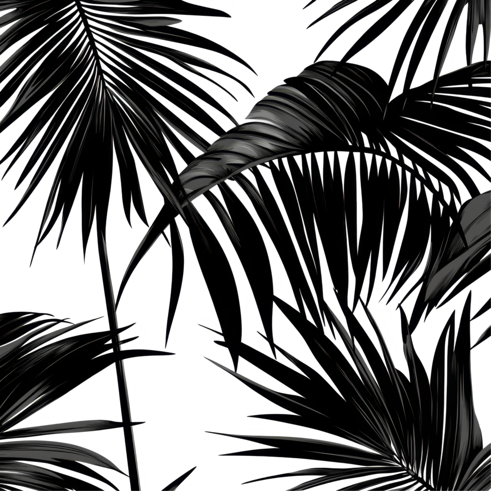 Black palm tree leaves contrasting against a crisp transparent background in a minimalist design, black leaves of palm tree on transparent backgroundfile png