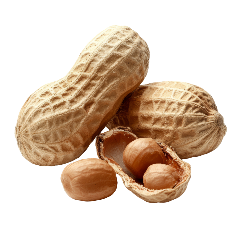 A close look at raw peanuts in their shells on a clean transparent background highlighting their natural form and texture, Peanuts on transparent background png
