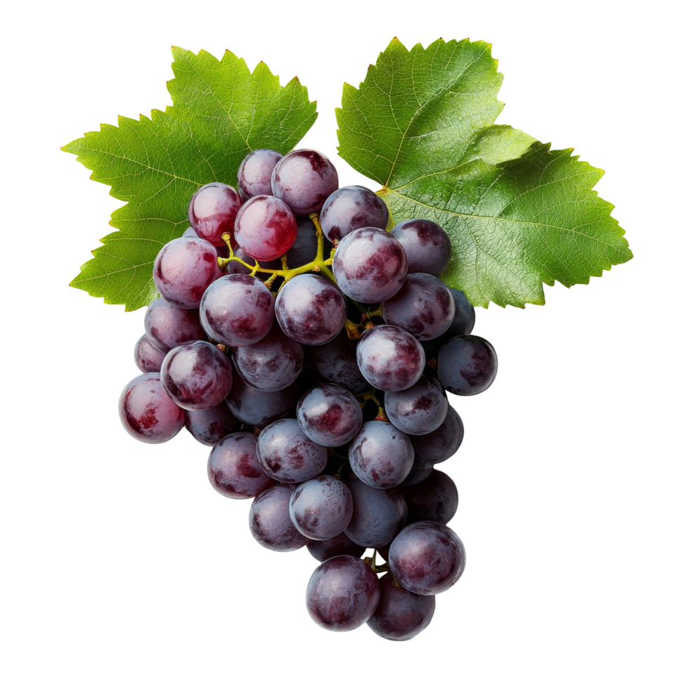 fresco orgânico uvas com vibrante verde folhas em uma limpar \ limpo transparente fundo para uma saudável lanche ideia, fresco orgânico uva com folhas em transparente fundo png