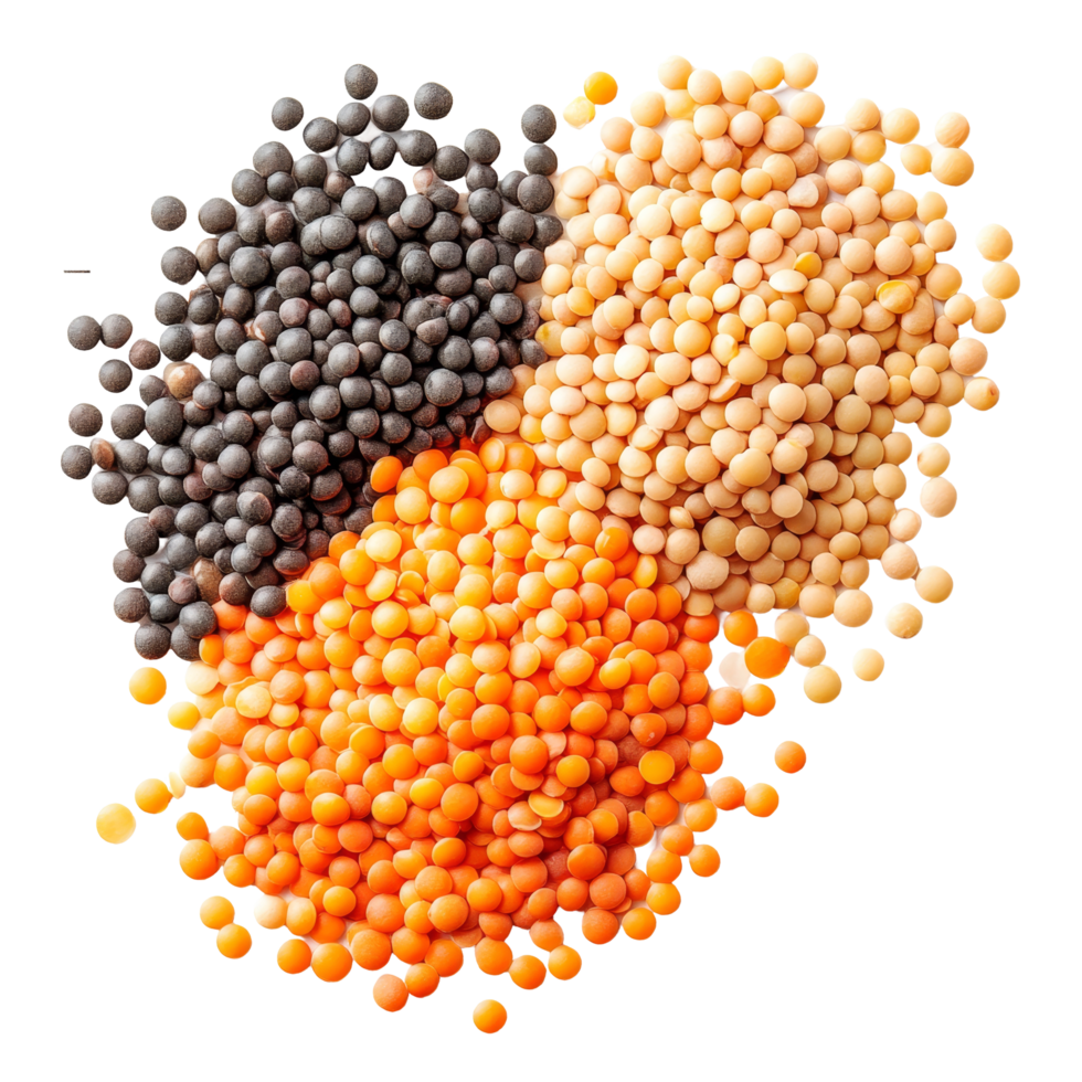 Mixed lentils in various colors isolated on a transparent background for culinary use and nutritional benefits, Lentils isolated on transparent background png