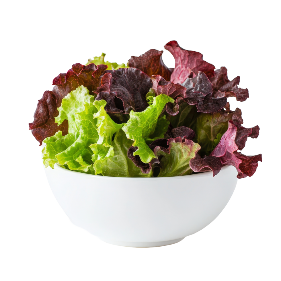 Freshly harvested red oak lettuce displayed in a transparent bowl against a clean transparent background, Red oak lettuce in transparent bowl on transparent background png