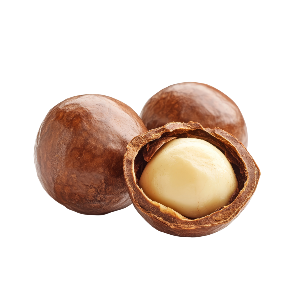 Fresh macadamia nuts on a transparent background highlighting their rich texture and unique shape, perfect for culinary uses, macadamia isolated on transparent background png
