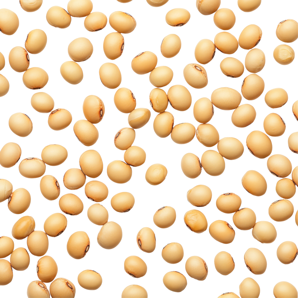 Fresh soybeans scattered on a clean transparent background showcasing their natural color and texture in a simple layout, Soybeans on transparent background png