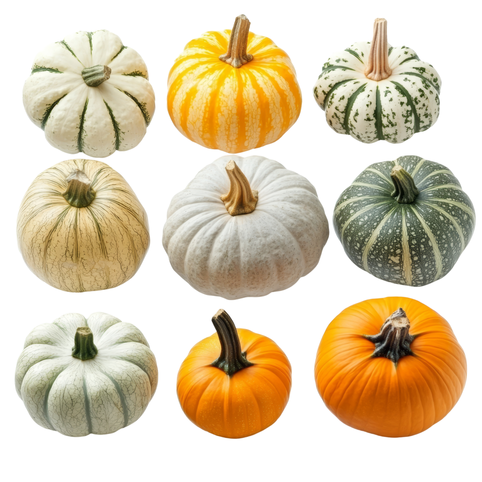 Explore a vibrant collection of pumpkins showcasing diverse shapes and colors against, Different types of pumpkin transparent background. Pumpkin vegetables isolated on transparent background png