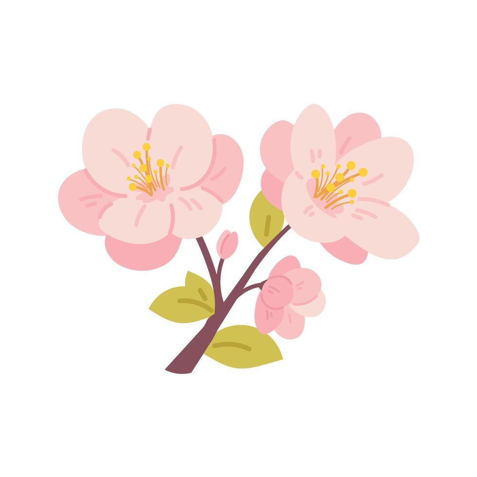 Long branch of blossoming cherry, apple or spring tree isolated. botanical element for spring, Hanami vector