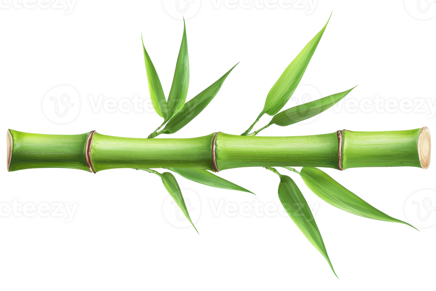 A green bamboo stalk with lush leaves extending from it. png