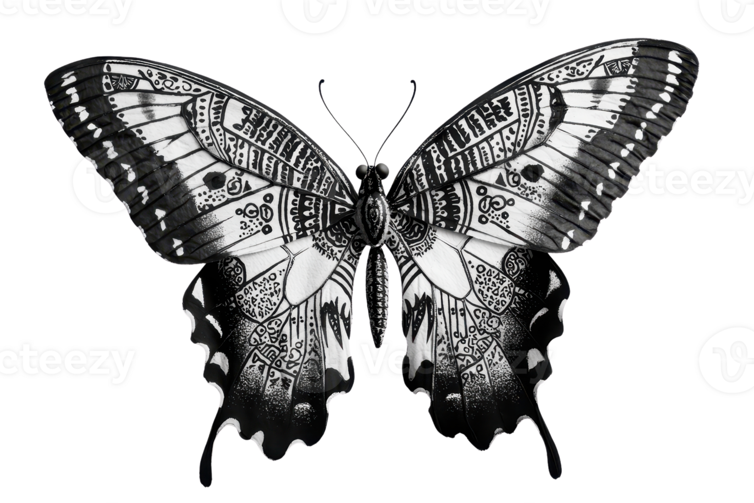 A highly detailed black-and-white butterfly showcasing intricate patterns on its wings. png