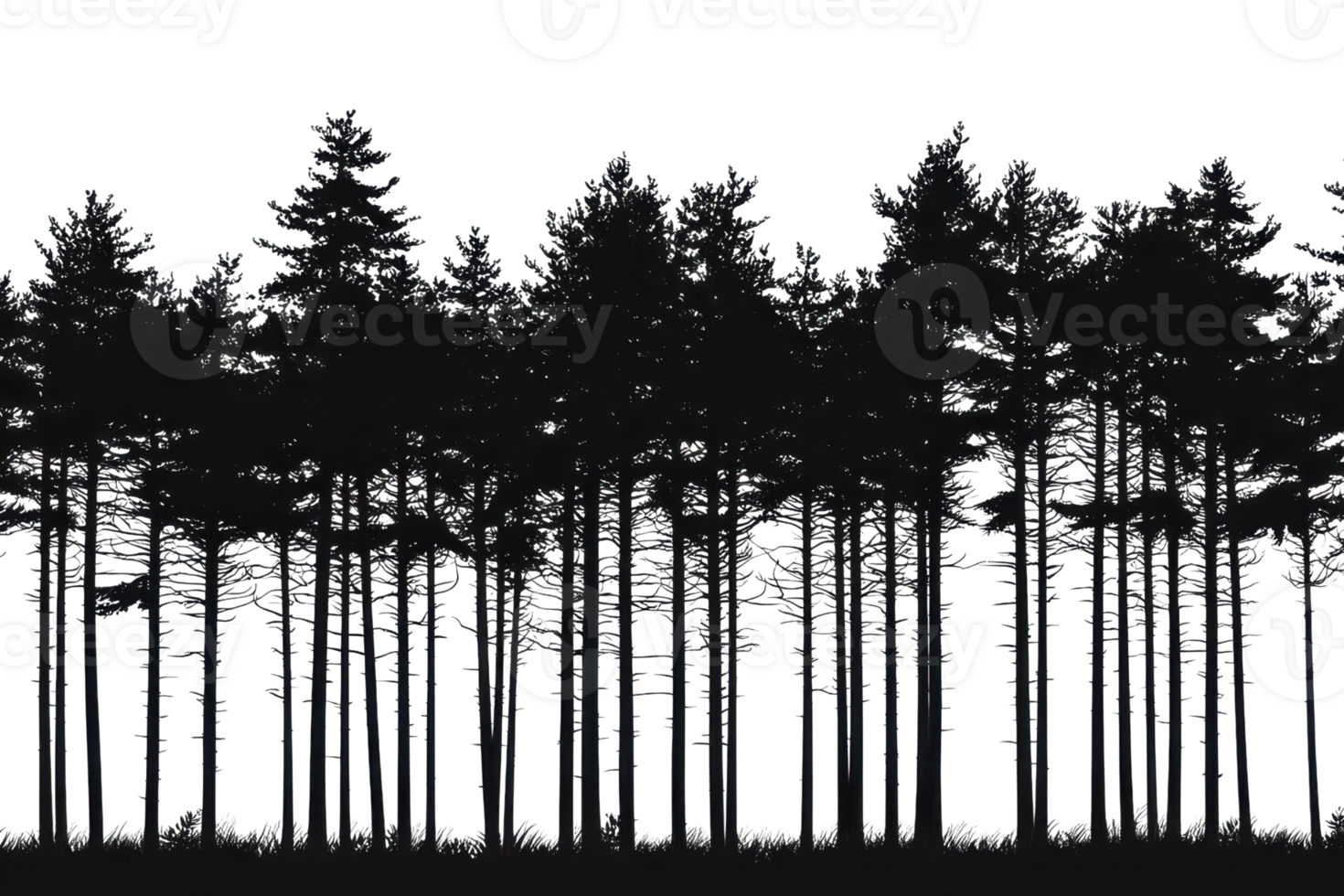 A silhouette of dense trees against a dark background, creating a dramatic and mysterious forest scene. png