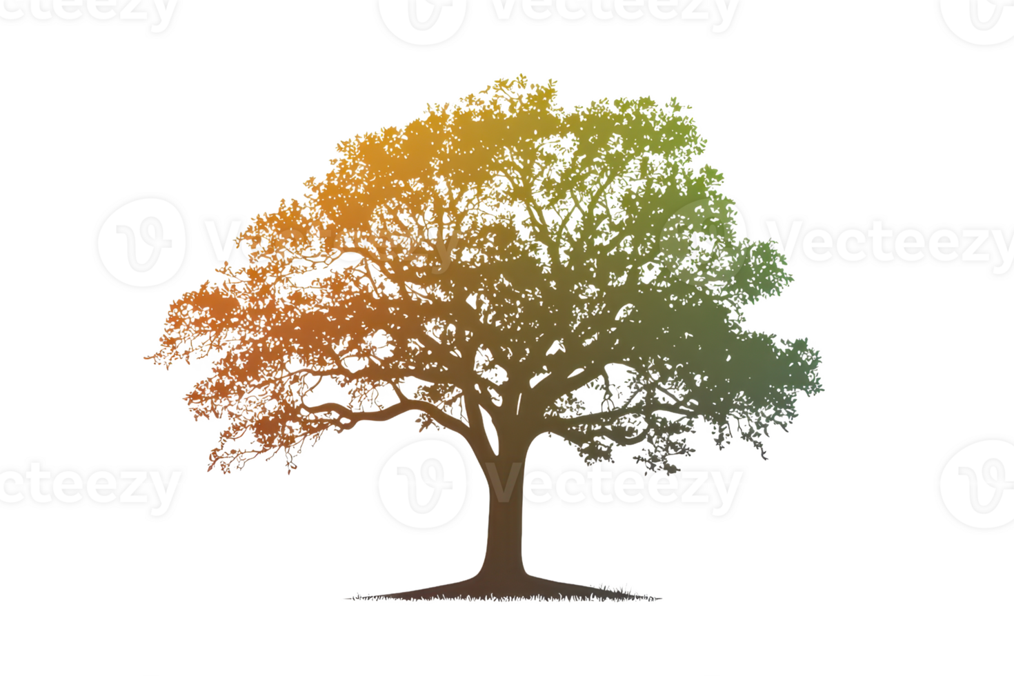 A vibrant, colorful tree showcases intricate leaves and an elegant trunk, representing nature's beauty and diversity. png