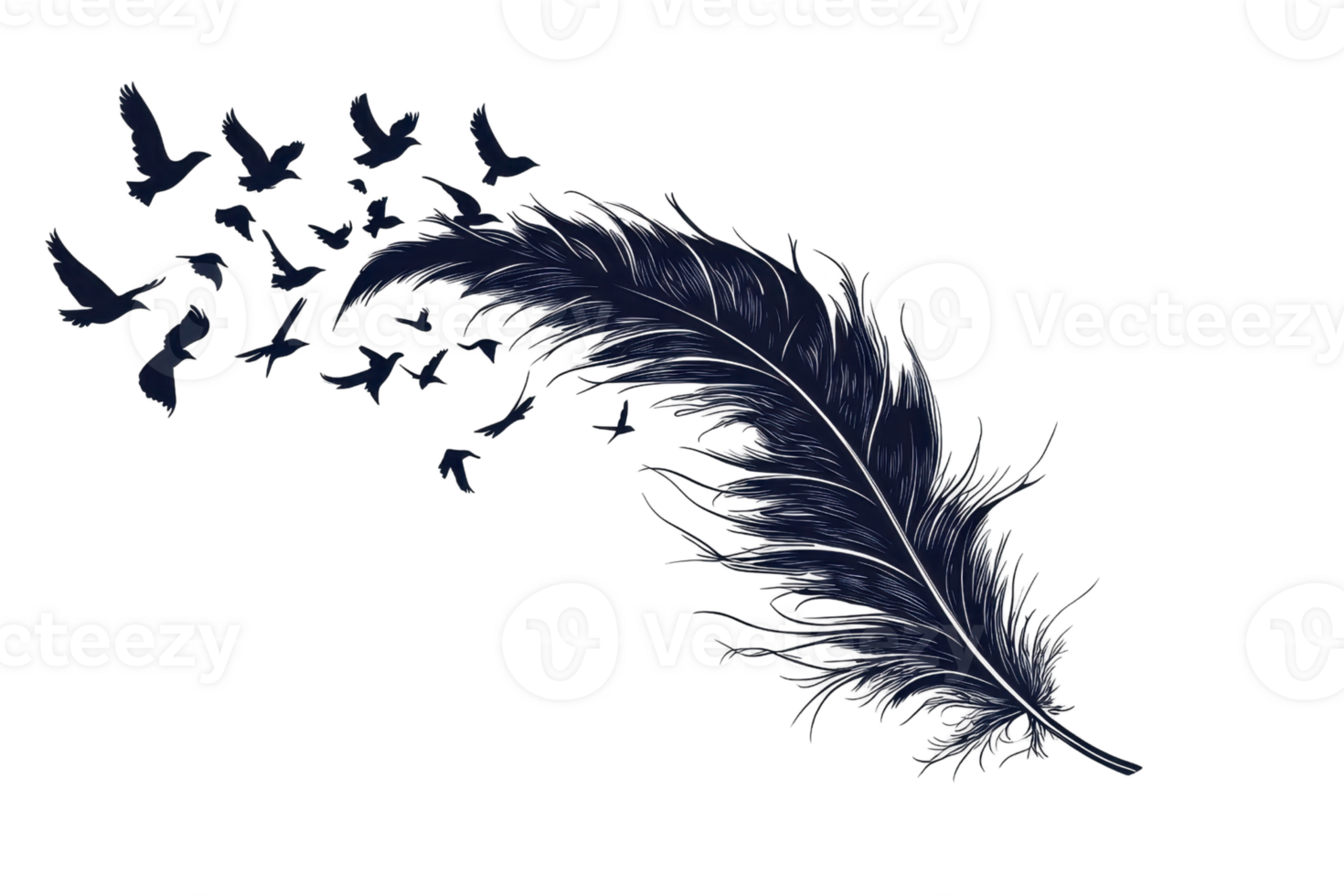 A dark feather with birds emerging from it, creating a seamless blend between the two elements. png