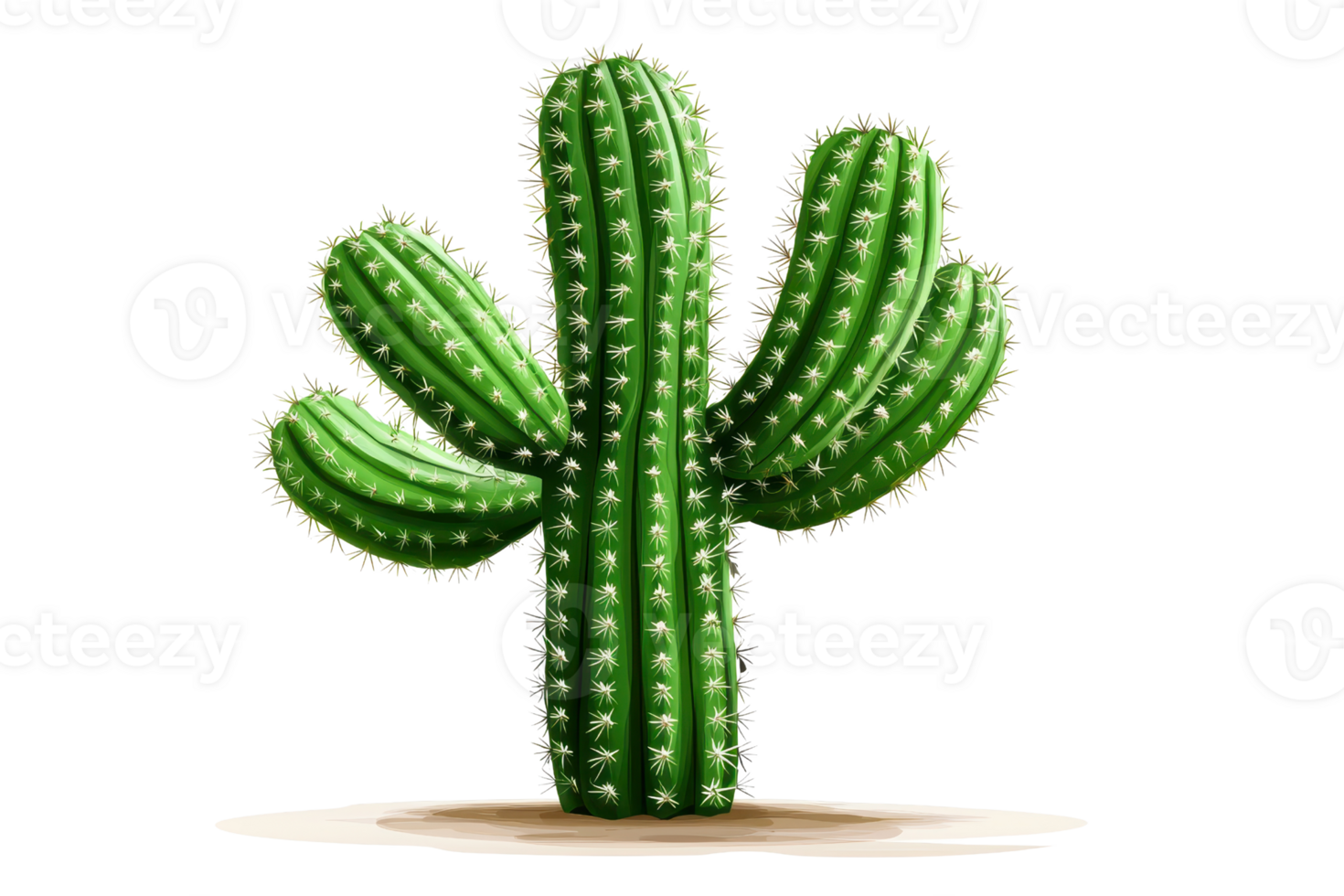 A green cactus with multiple arms, showcasing its distinct segmented shape and spines. png