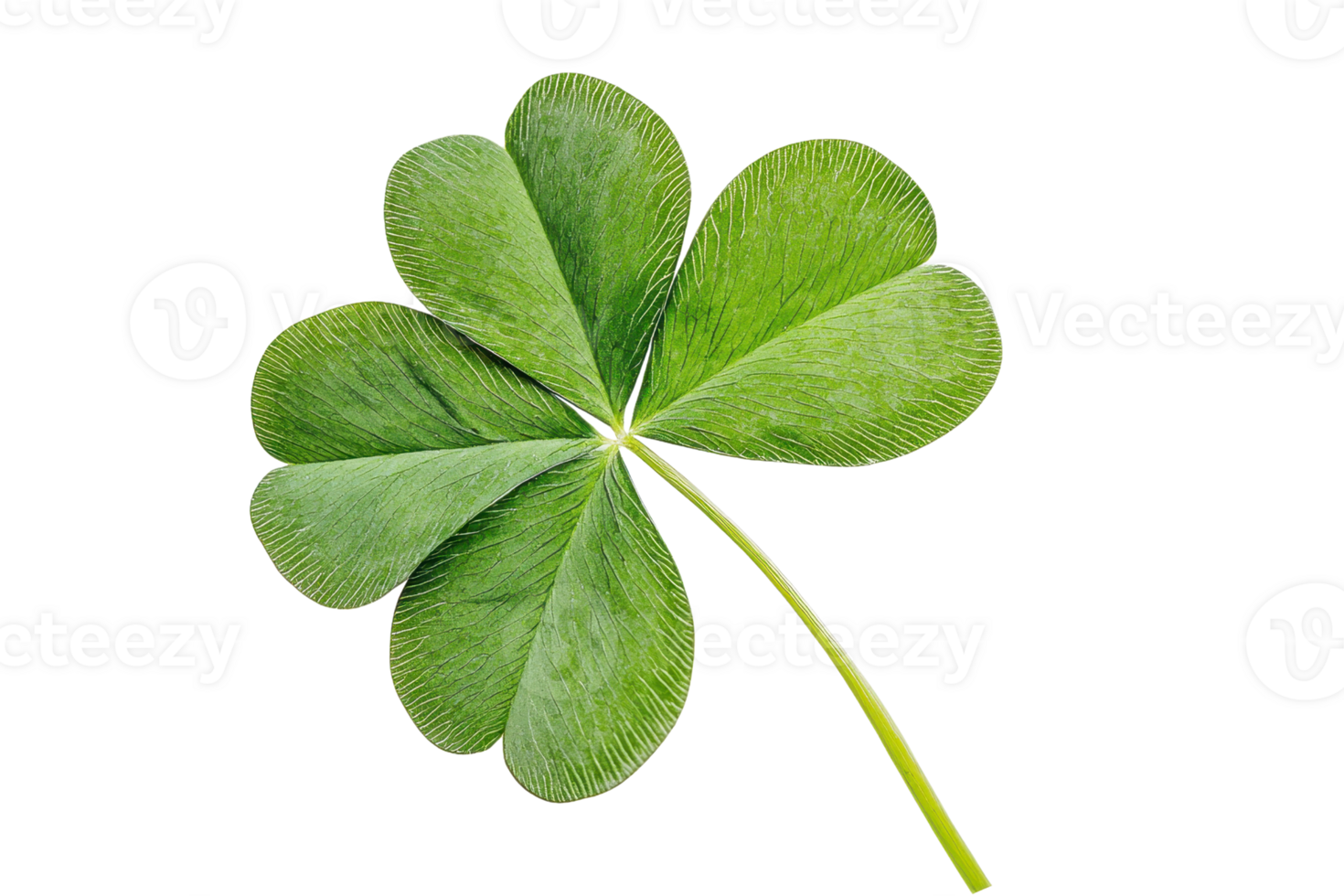 A lush, green four-leaf clover with distinct leaflets and a slender stem, symbolizing luck and fortune. png