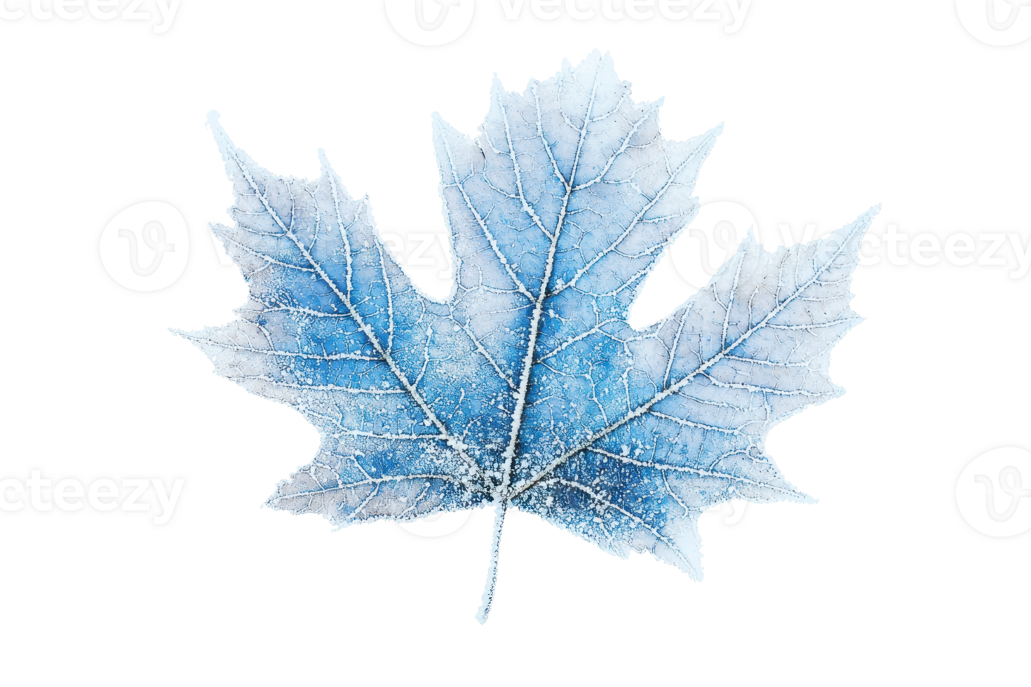A delicate blue leaf with intricate veins, showcasing a frost-like texture. png