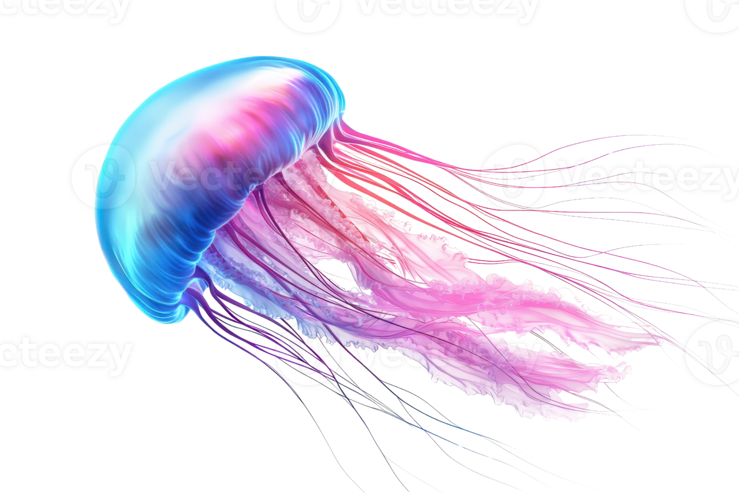 A luminous jellyfish with vibrant blue and pink colors, showcasing long, flowing tentacles. png