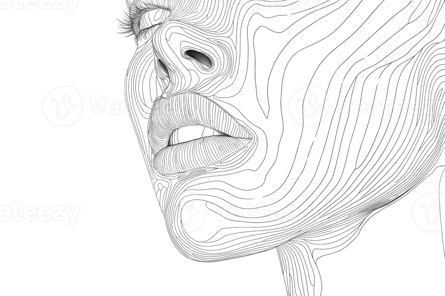 A stylized, line-art representation of a face, emphasizing the contours and features with intricate, flowing lines. png