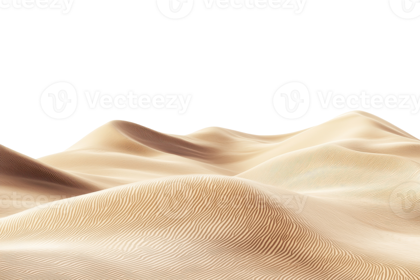 A smooth, undulating surface of sand illuminated against a stark transparent background, creating a serene and minimalist landscape effect. png
