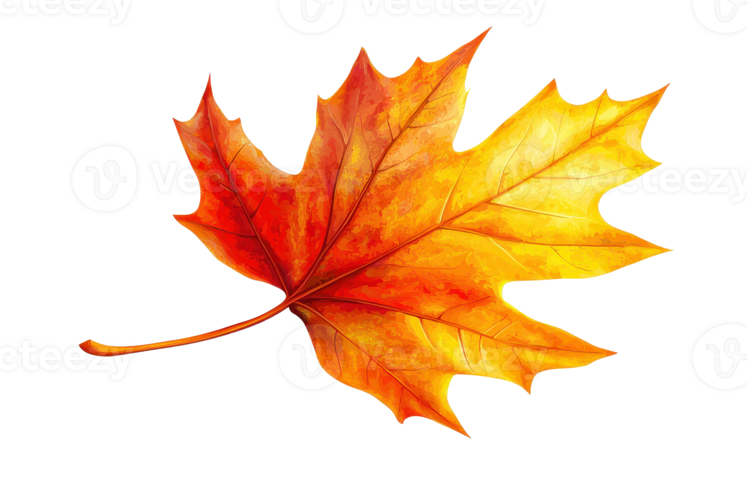 A vibrant autumn maple leaf displaying striking shades of red and orange. png