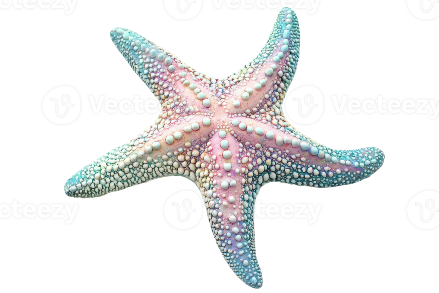 A vibrant starfish with five arms, adorned with textured patterns and pastel colors, showcasing its natural beauty and marine characteristics. png
