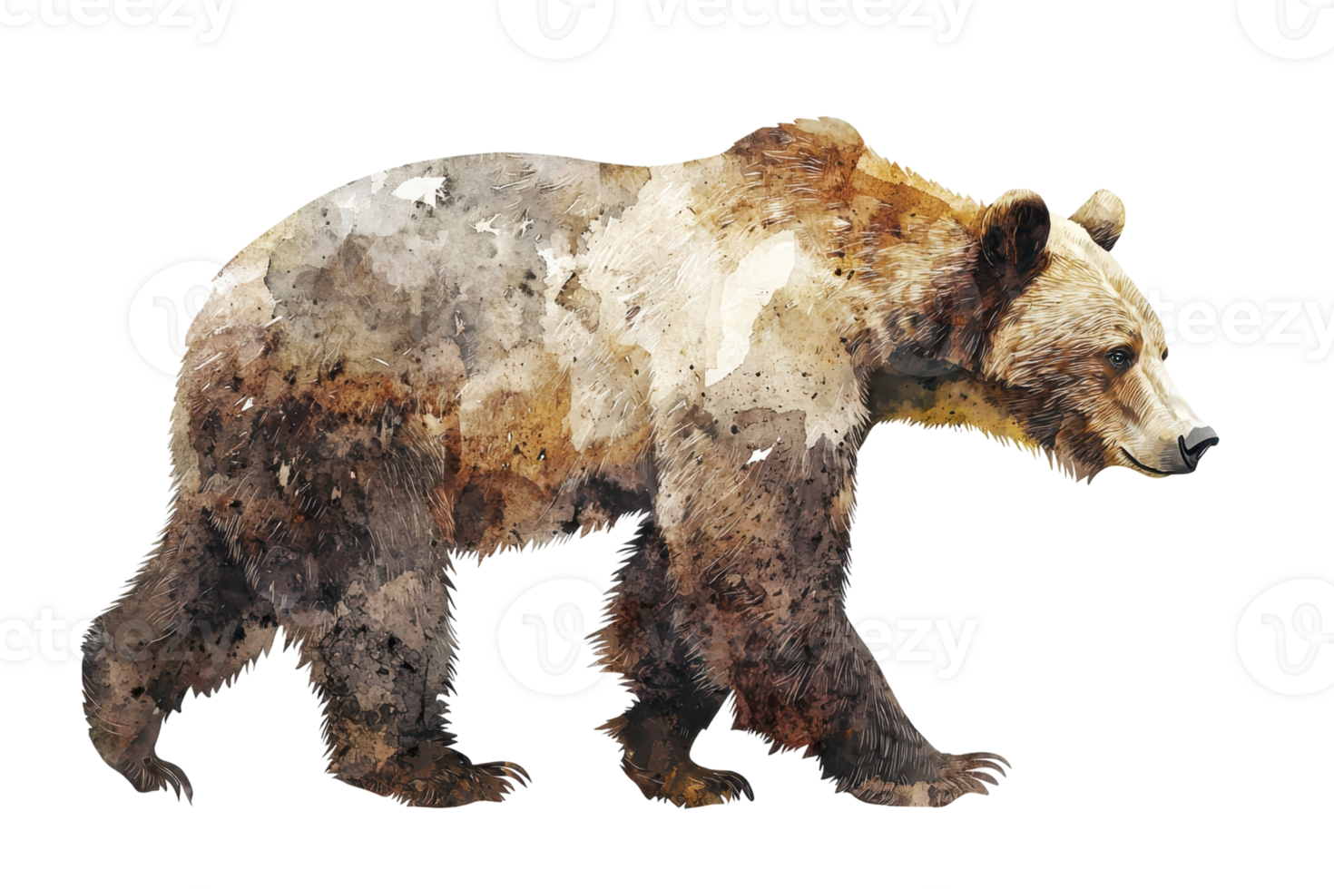 A bear depicted in a watercolor style, showcasing earthy tones and a natural walking posture. png