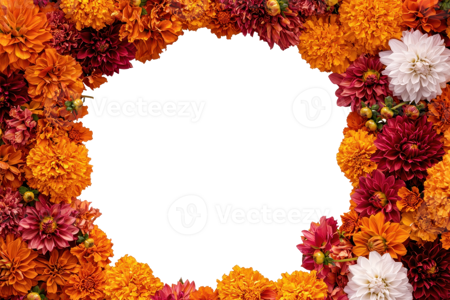 A vibrant floral wreath featuring orange, red, and white blooms, surrounding a blank center, perfect for a decorative or celebratory backdrop. png