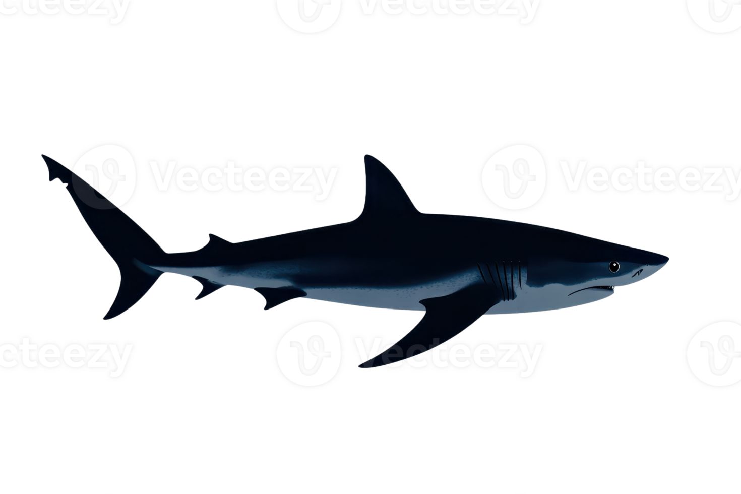 A sleek, dark shark gliding through water, showcasing its streamlined body and powerful fins. png