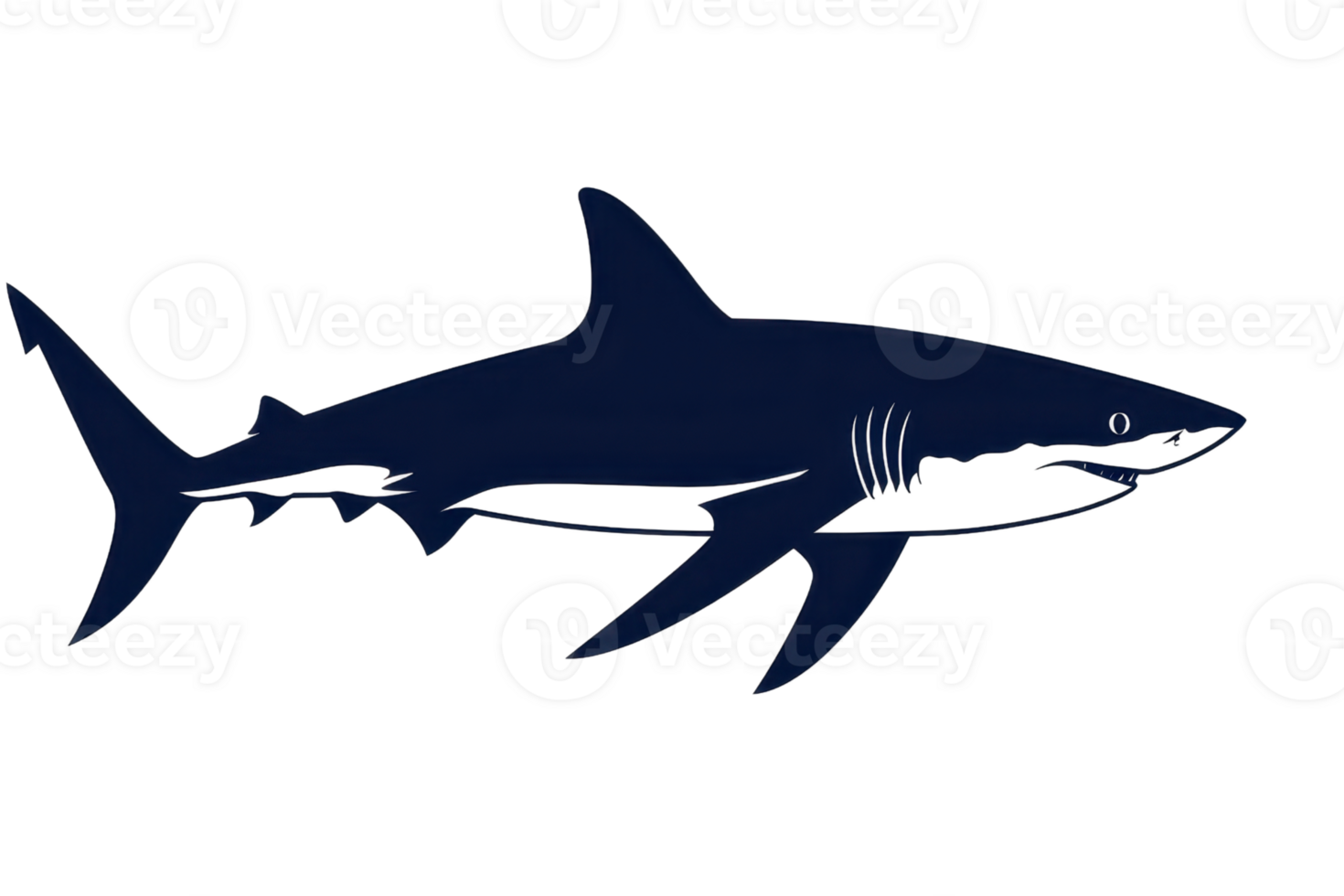 A sleek, dark silhouette of a shark, showcasing its streamlined body and distinctive fin shape. png