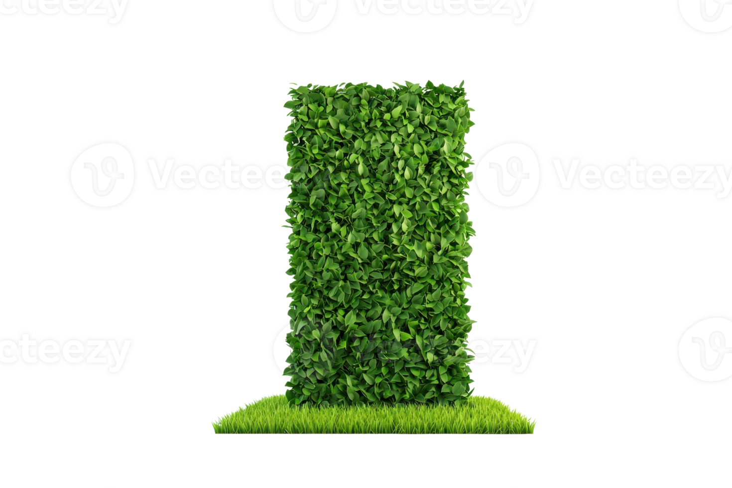 A lush green hedge shaped like a rectangular wall, showcasing dense foliage and a fresh appearance. png