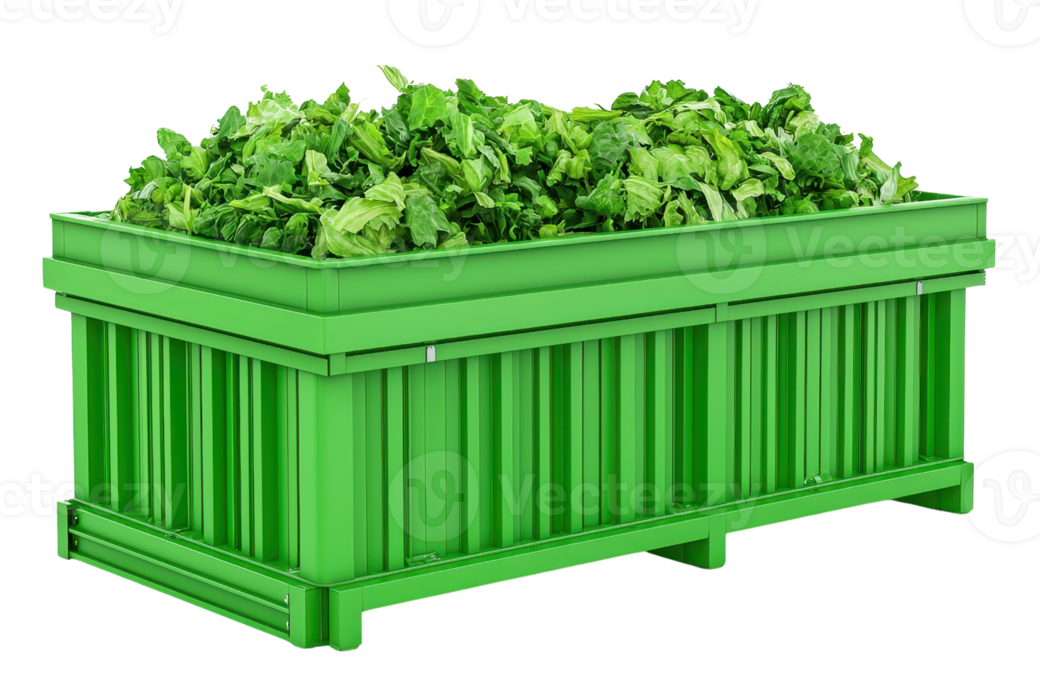 A vibrant green container filled with fresh leafy vegetables, showcasing abundant greenery. png