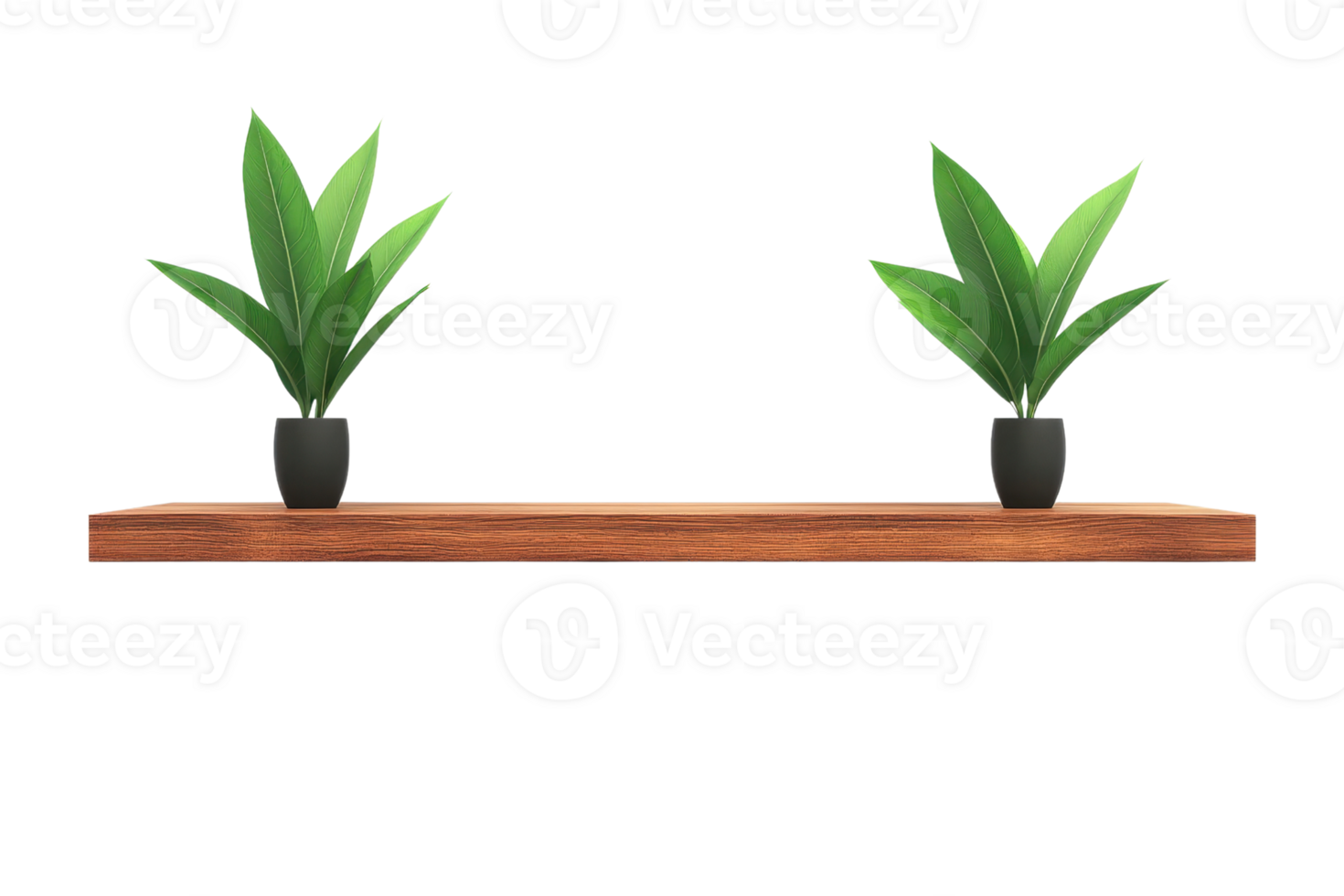 A wooden shelf displays two potted plants with vibrant green leaves, creating a fresh and natural aesthetic. png