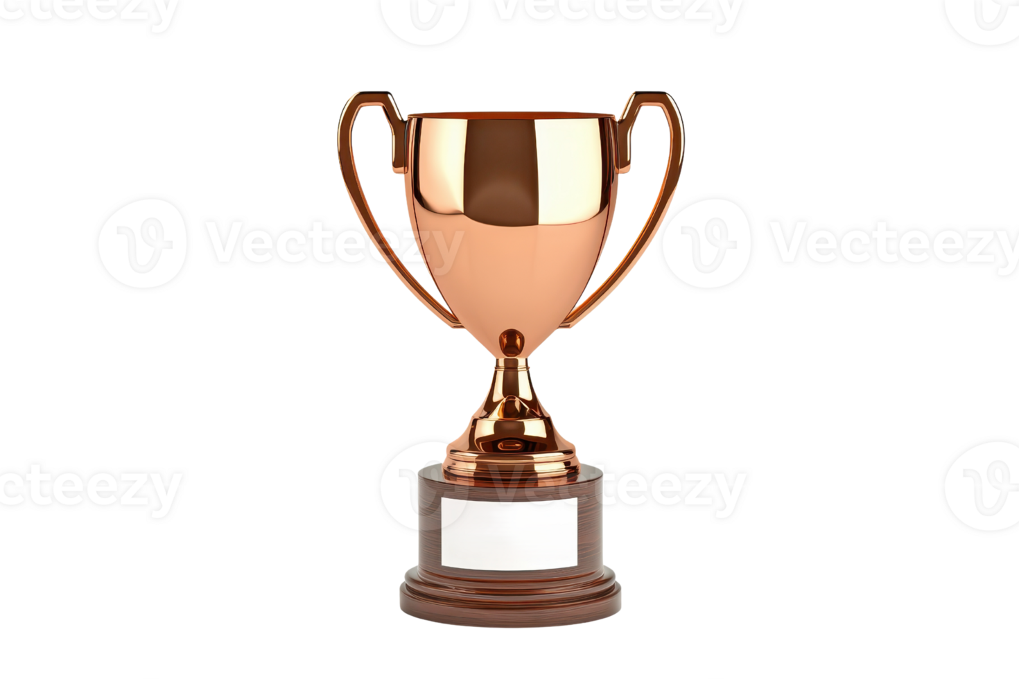 A gleaming bronze trophy with handles, symbolizing achievement and success, featuring a blank plaque for personalization. png