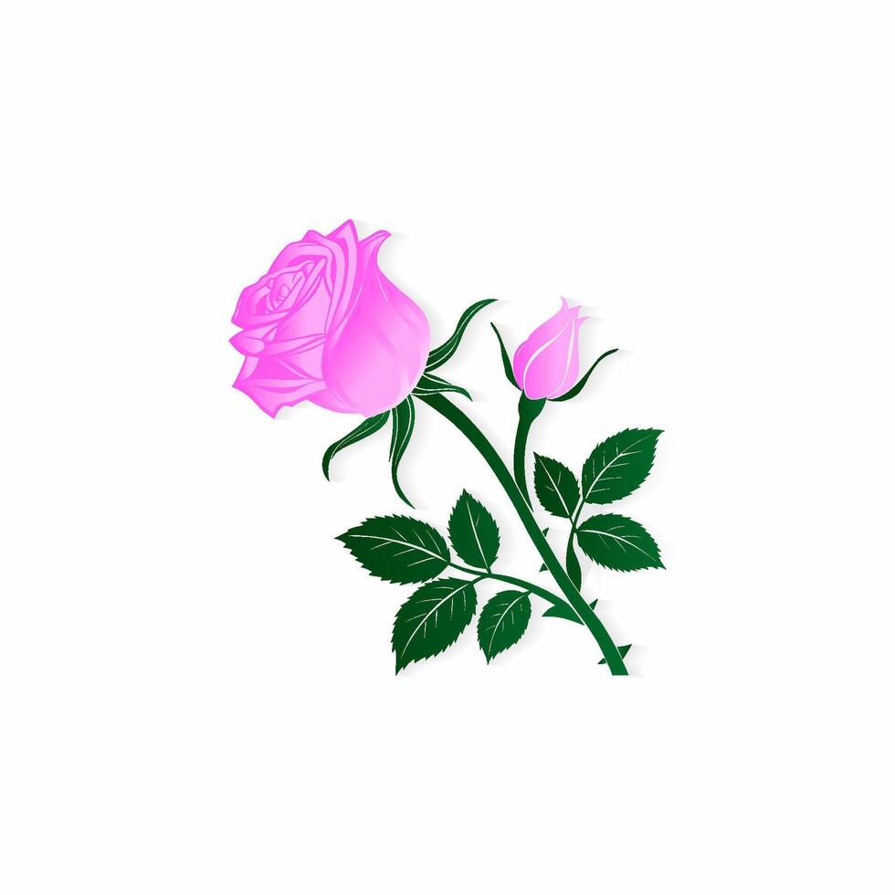 Beautiful pink rose silhouette vector