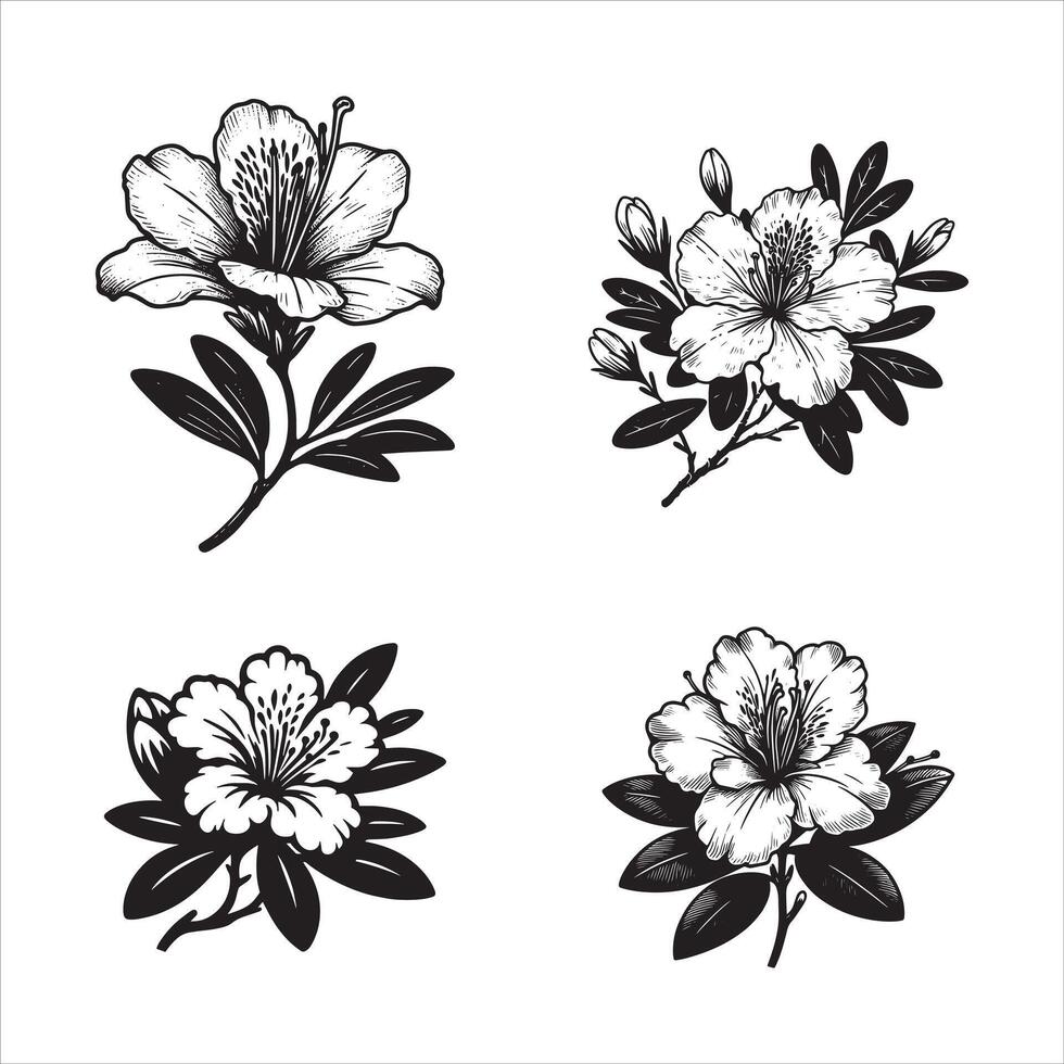 Azalea flower Spring plant Graphic ink drawing pointillism technique Transparent background vector